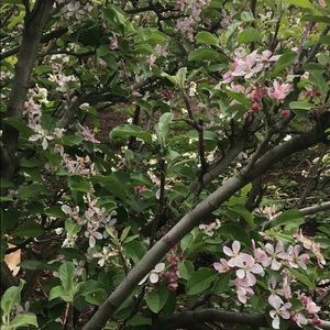 Meet your Posher, Lorena